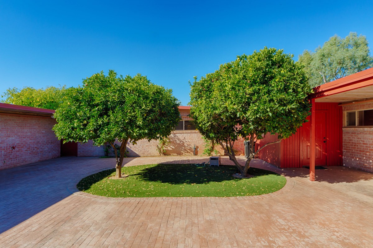 A well-maintained yard with two trees and a paved driveway under a clear blue sky.