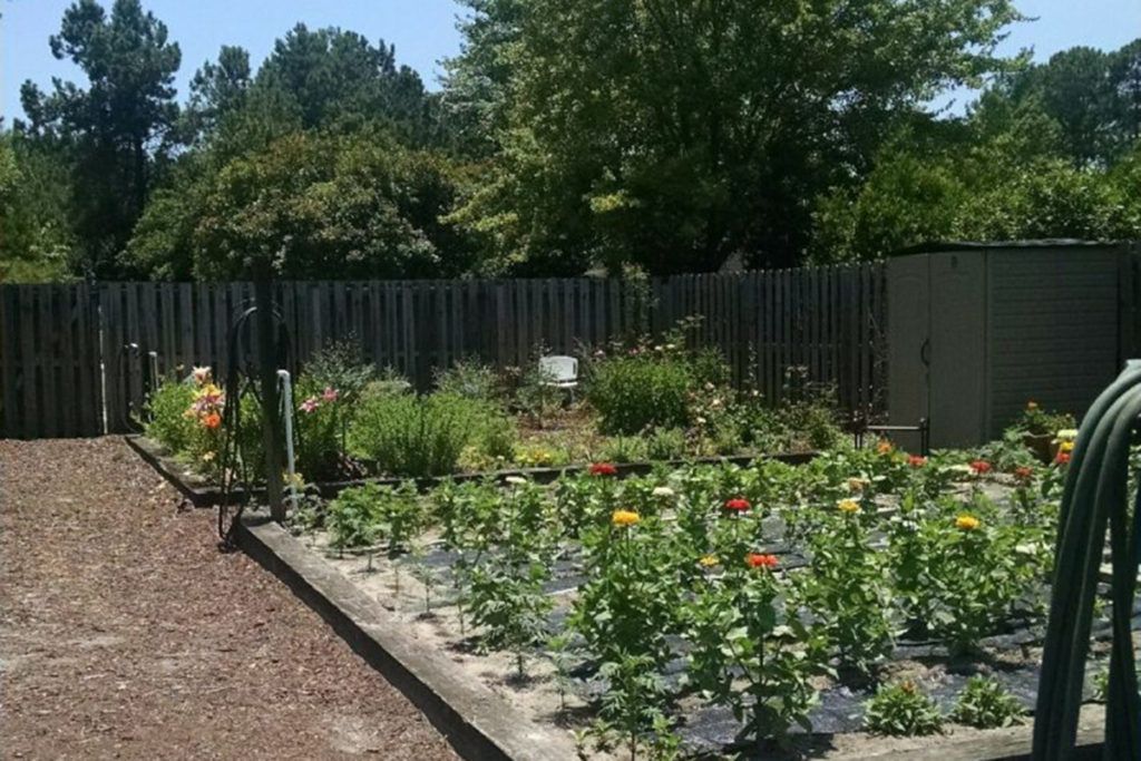 A thriving garden with vegetable plants and flowers surrounded by a wooden fence on a sunny day.