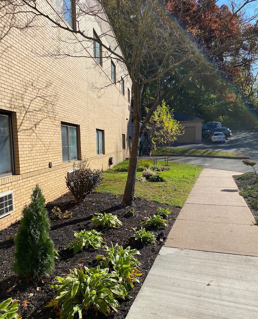 A landscaped area alongside a building on a sunny day.