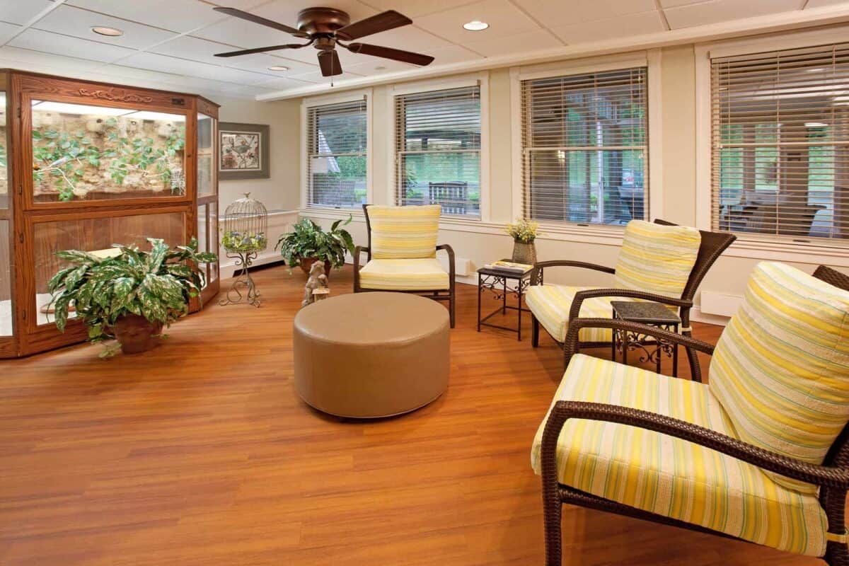 A cozy living room with comfortable seating and indoor plants, featuring a wooden floor and ceiling fan.