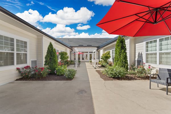 A landscaped pathway between buildings, featuring greenery and a bright red umbrella.