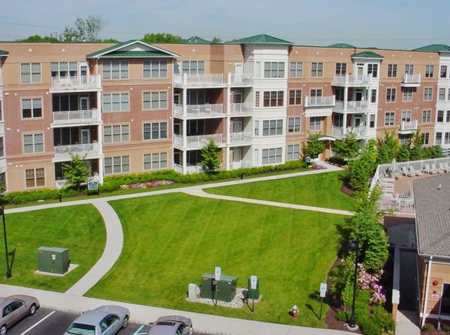 The Pointe