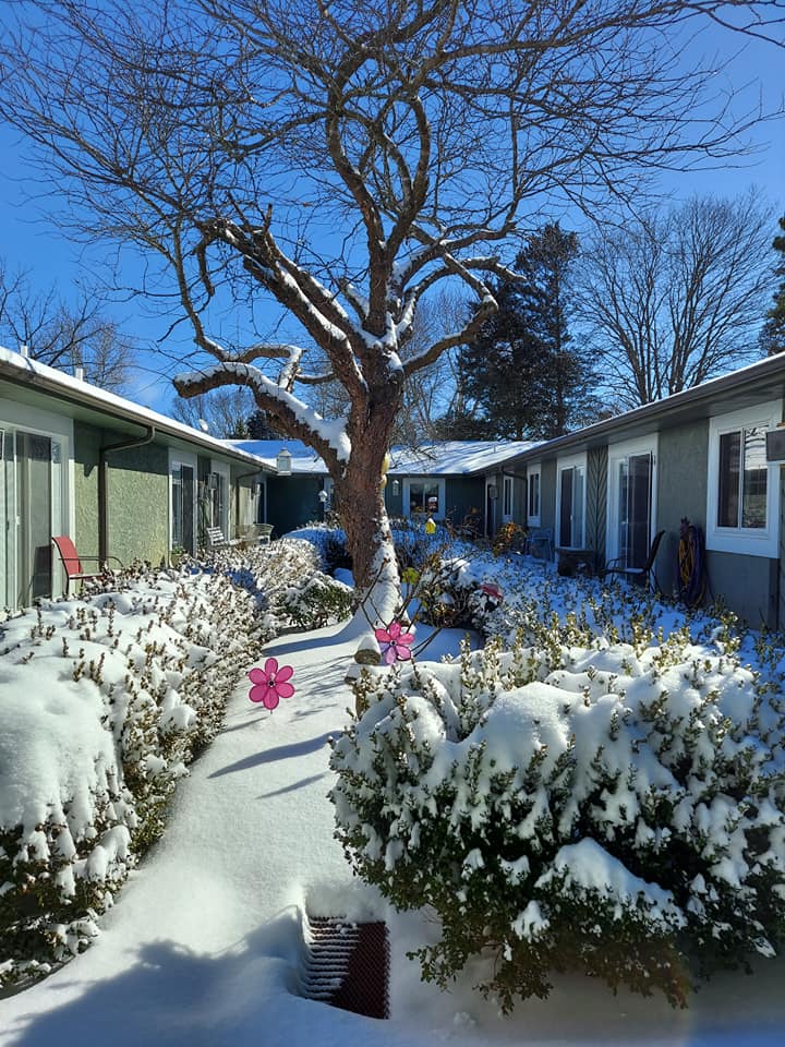Century Pines Assisted Living