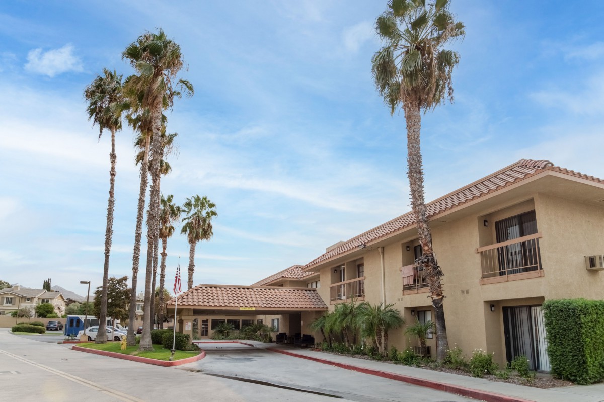 A hotel building with palm trees lining the driveway.