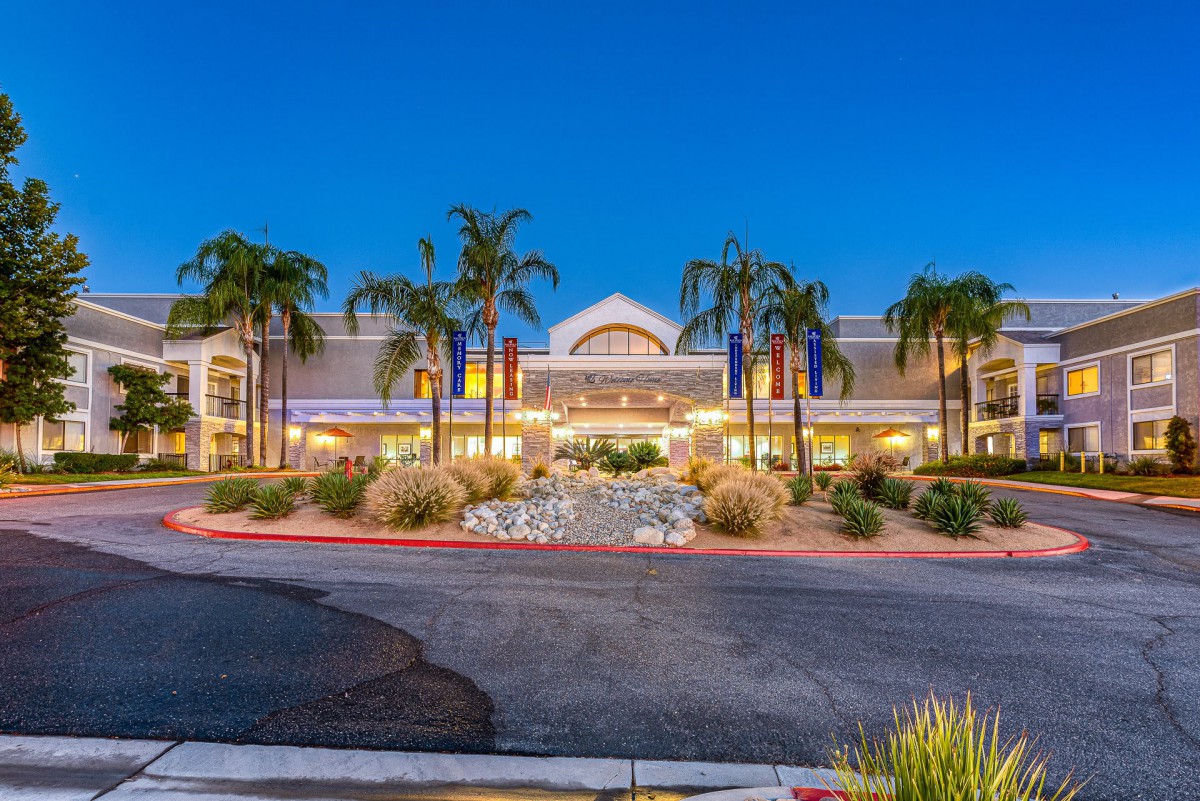 Illuminated building entrance with palm trees at night.