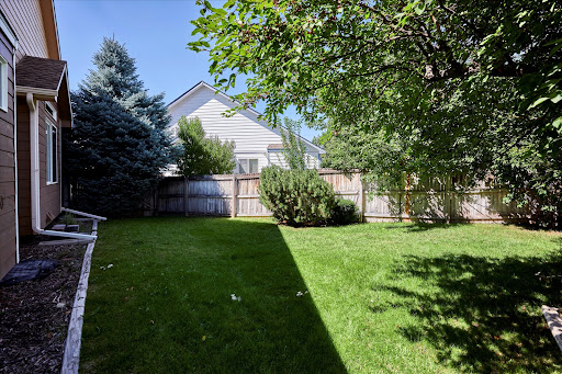 A serene backyard with lush green grass, surrounded by trees and a wooden fence.
