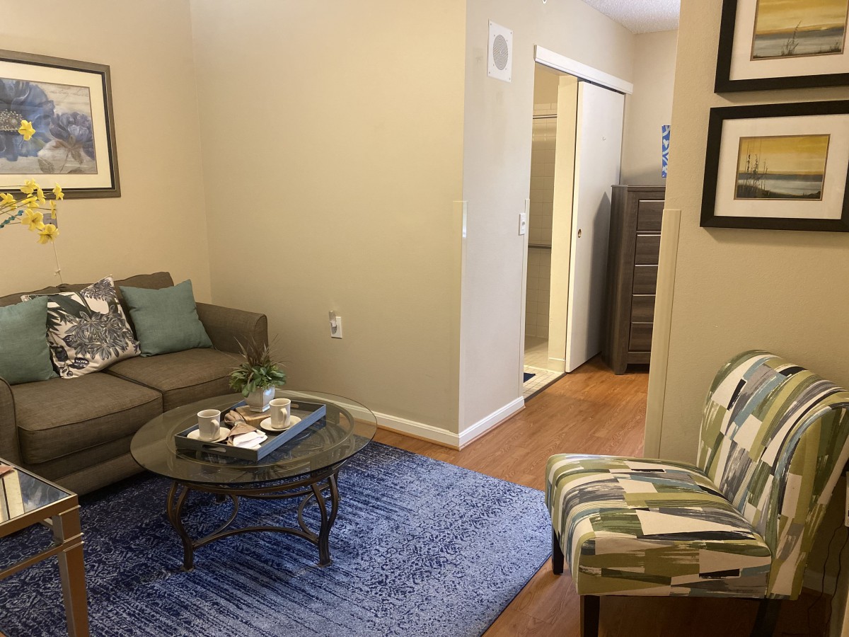 Cozy living room with a sofa, coffee table, and blue rug.