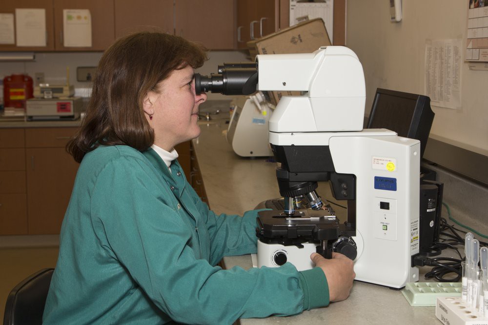A woman using a microscope in a laboratory setting.