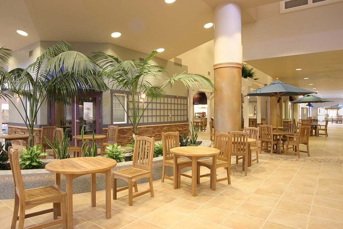 A cozy restaurant interior with wooden tables and chairs surrounded by lush palm plants.
