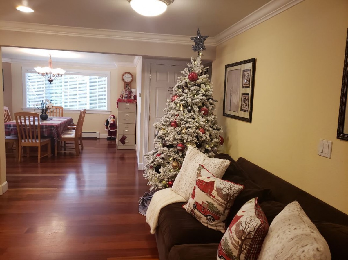 A cozy living room decorated for the holidays with a Christmas tree and festive pillows.