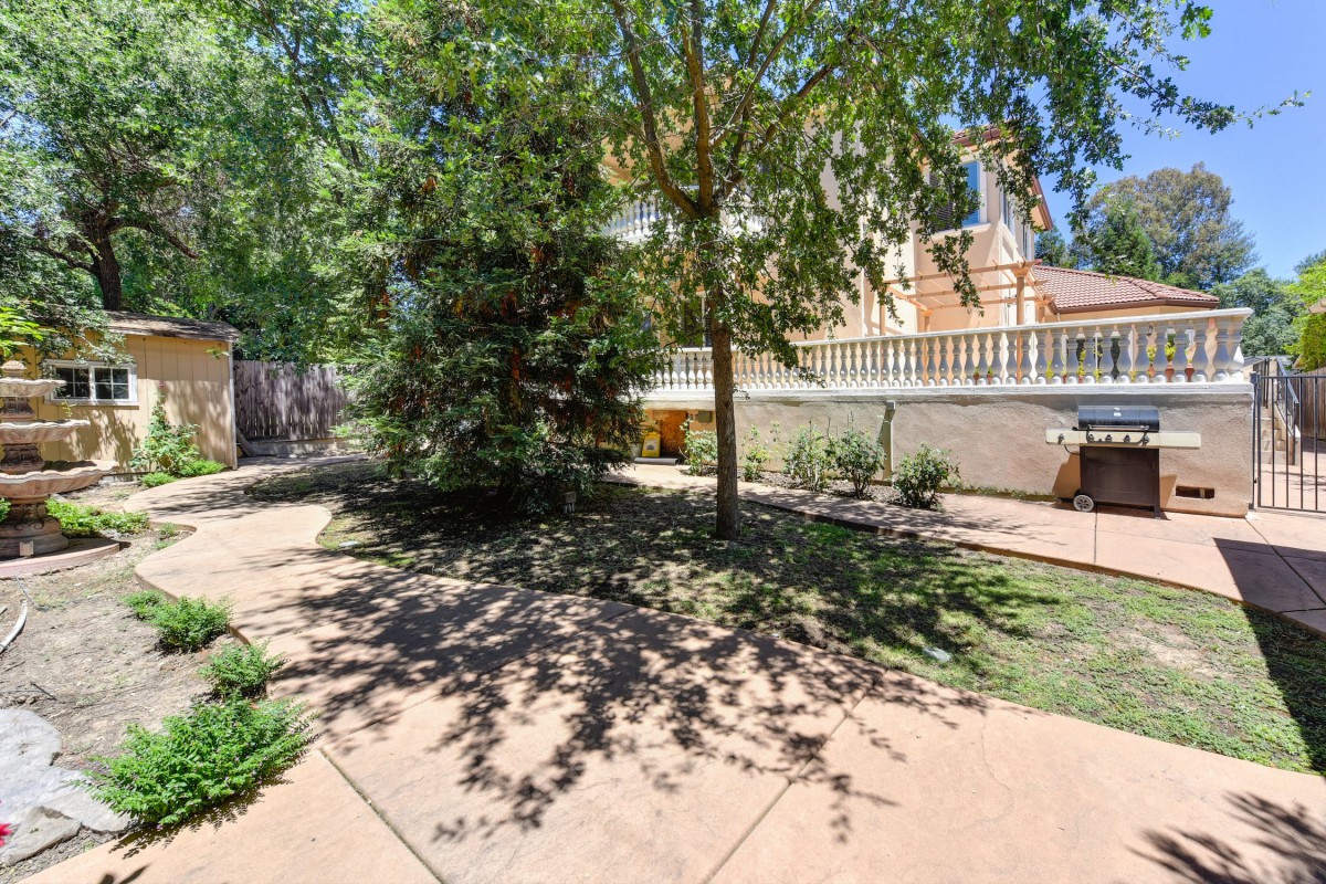 A sunny backyard with a tree providing shade on the pathway.