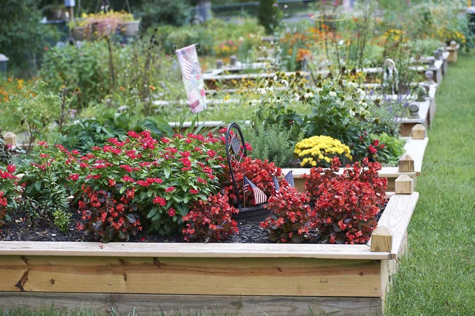 A vibrant garden with raised beds filled with colorful flowers and lush plants.