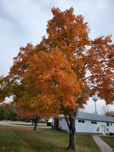 Ozarks Methodist Manor