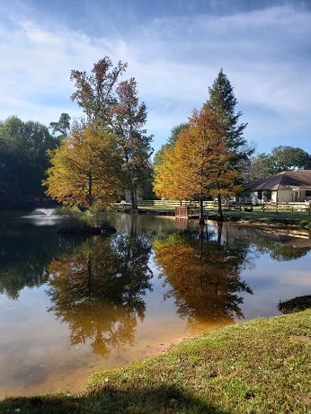 A serene autumn scene with trees reflecting on a calm lake.