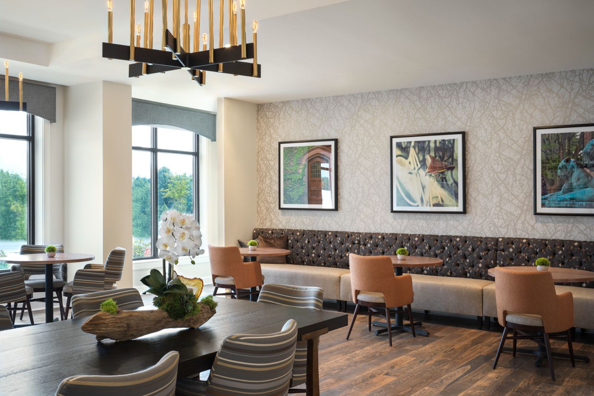 A modern dining area with a stylish chandelier, featuring comfortable seating, wall art, and indoor plants.