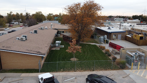 An aerial view of a school surrounded by autumn foliage and neatly maintained grass.