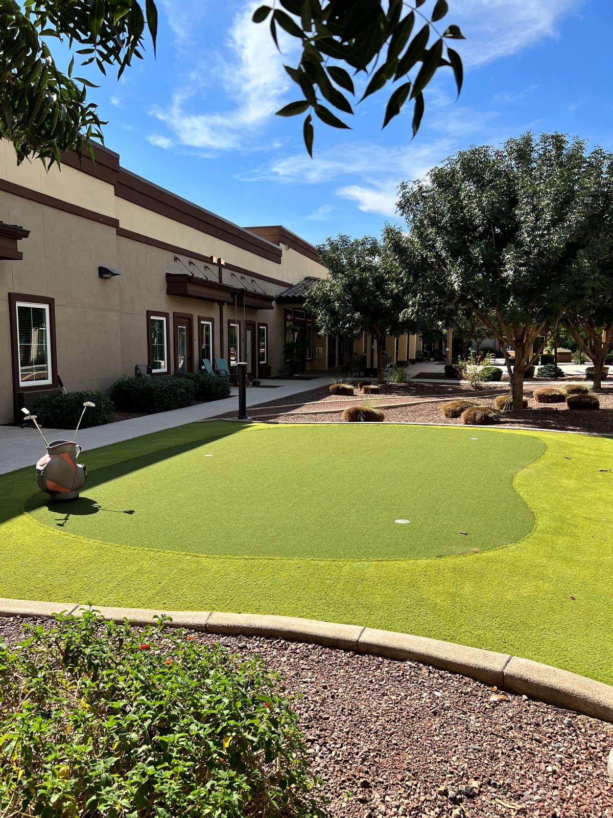 A sunny day at a putting green next to a building, surrounded by trees and landscaping.