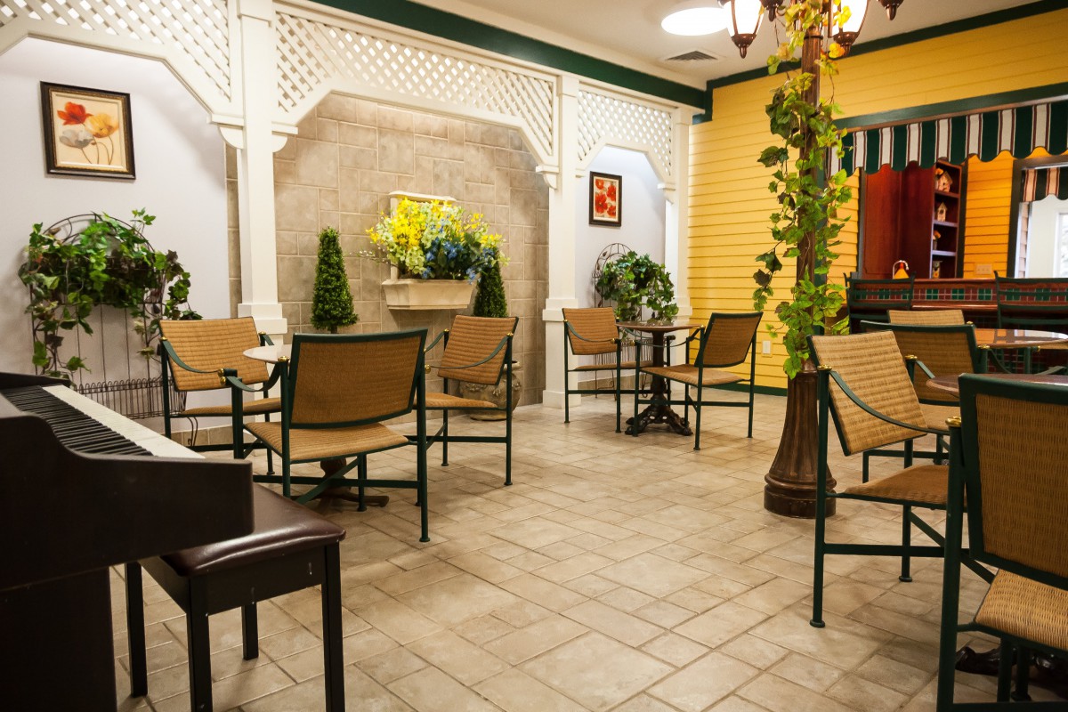 A cozy cafe interior with tables, chairs, and decorative plants.