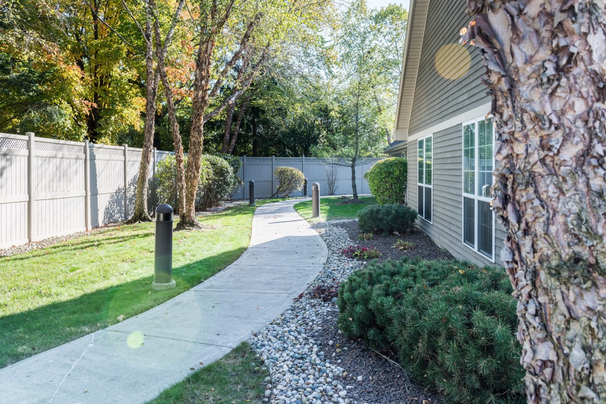 A sunny pathway with landscaping beside a building and a fence in the background.