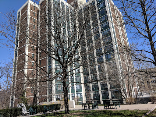 A tall residential building beside a barren tree under a clear blue sky.