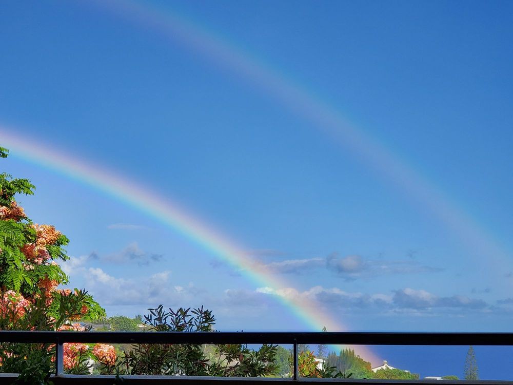 A stunning double rainbow arches across a bright blue sky, framed by leafy trees and light clouds.