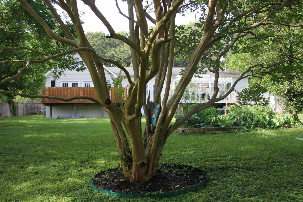 Rose Garden Residence