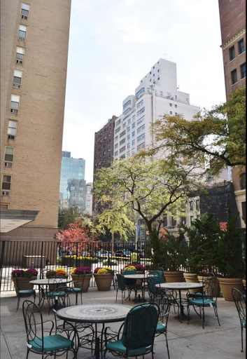 A serene urban scene featuring a mix of greenery and city buildings.