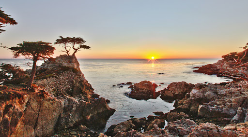 A serene sunset over the ocean, framing a lone tree on the rocky shoreline.