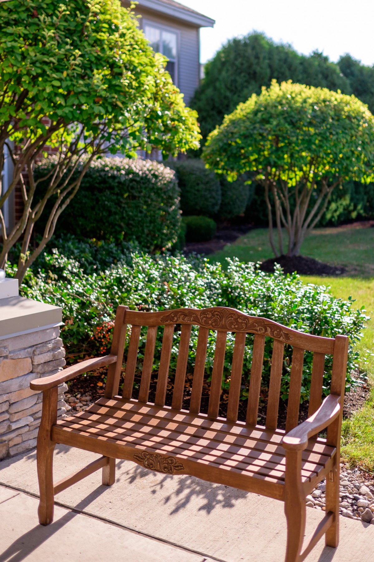A wooden bench in a serene garden surrounded by lush greenery and shrubs.