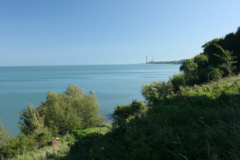 A tranquil view of the coastline with calm sea waters and lush greenery under a clear blue sky.