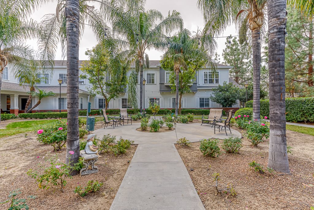 A serene courtyard with palm trees, benches, and a pathway leading to residential buildings.