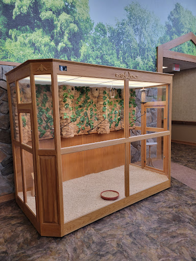 A wooden habitat enclosure with glass panels, designed for displaying plants or animals.