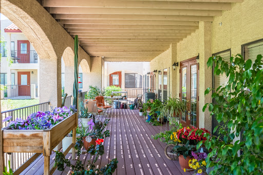 A vibrant porch adorned with a variety of blooming plants and flowers, inviting a serene outdoor atmosphere.