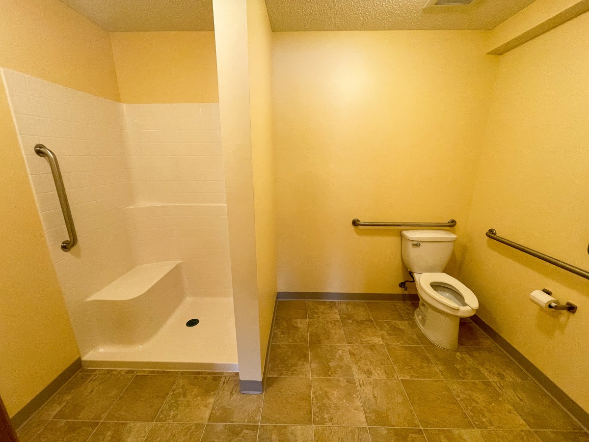An accessible bathroom with a toilet and a shower area equipped with grab bars.