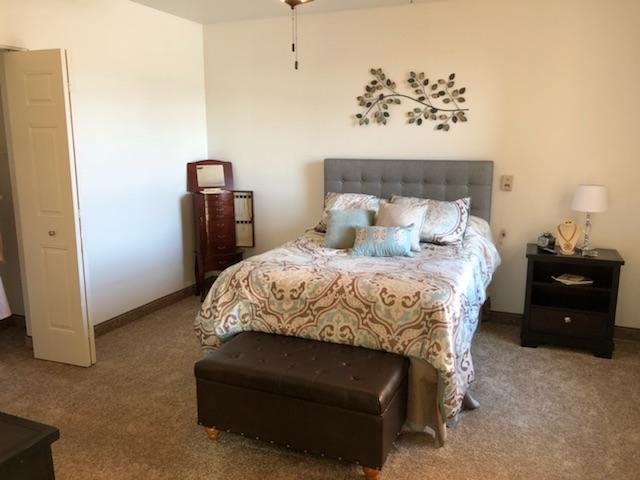 A cozy bedroom with a decorative bed and wall art.