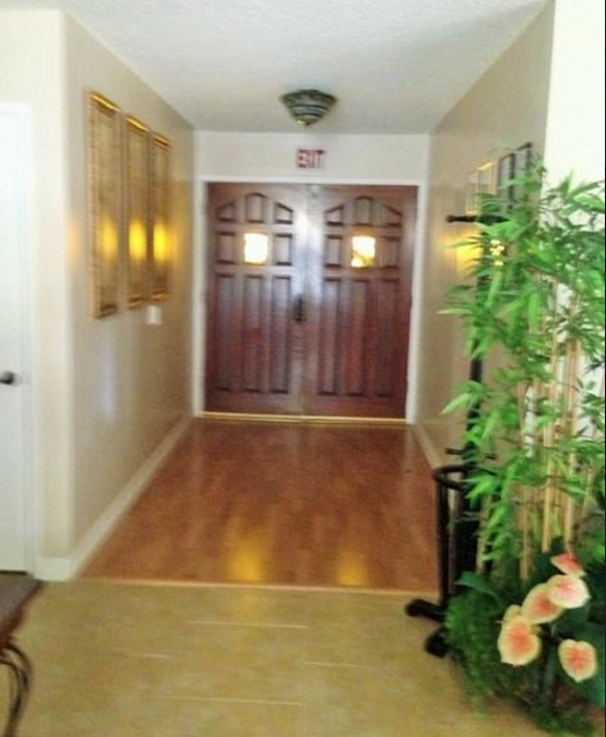 A hallway with wooden double doors and a potted plant.