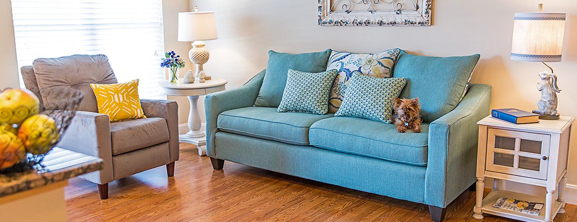 A cozy living room with a blue sofa and patterned cushions next to a lamp on a side table.