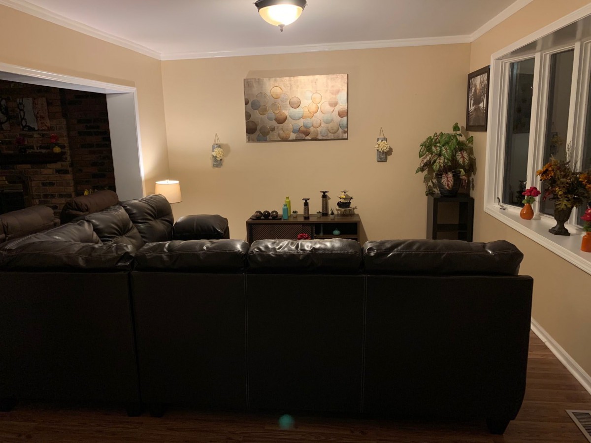 A cozy living room with a large sofa, artwork on the wall, and plants adding a touch of greenery.
