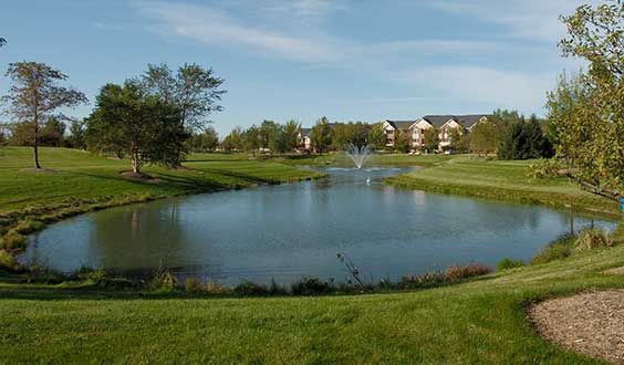 A serene landscape featuring a pond with a fountain, surrounded by grass and trees, with buildings in the background under a clear sky.