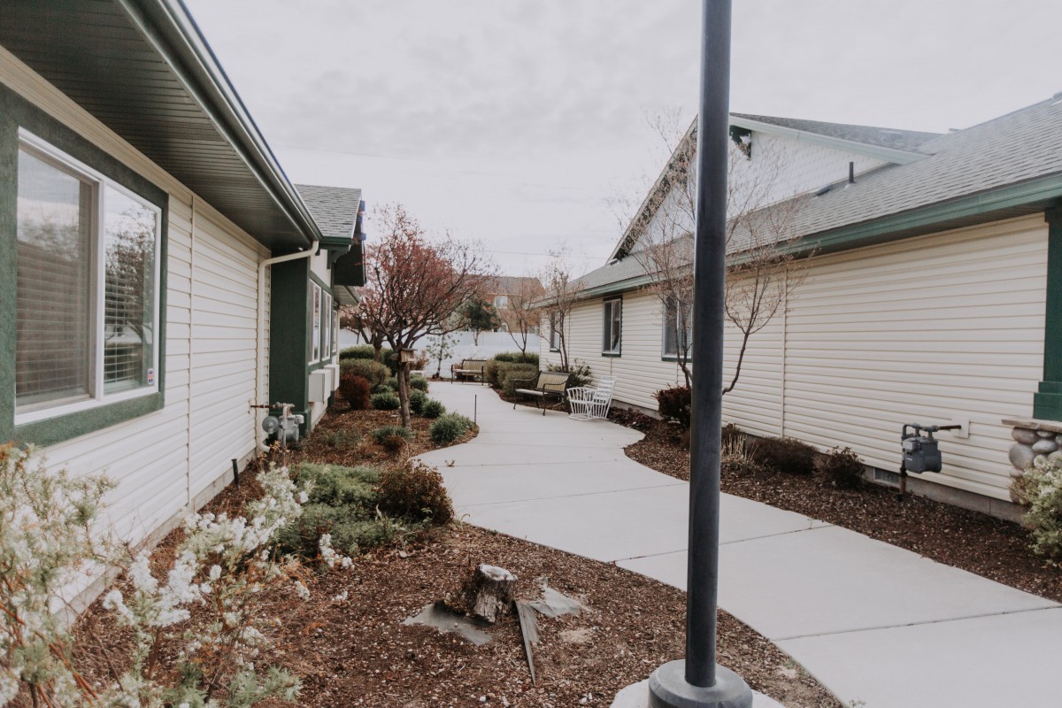 A pathway lined with trees and bushes between buildings on an overcast day.