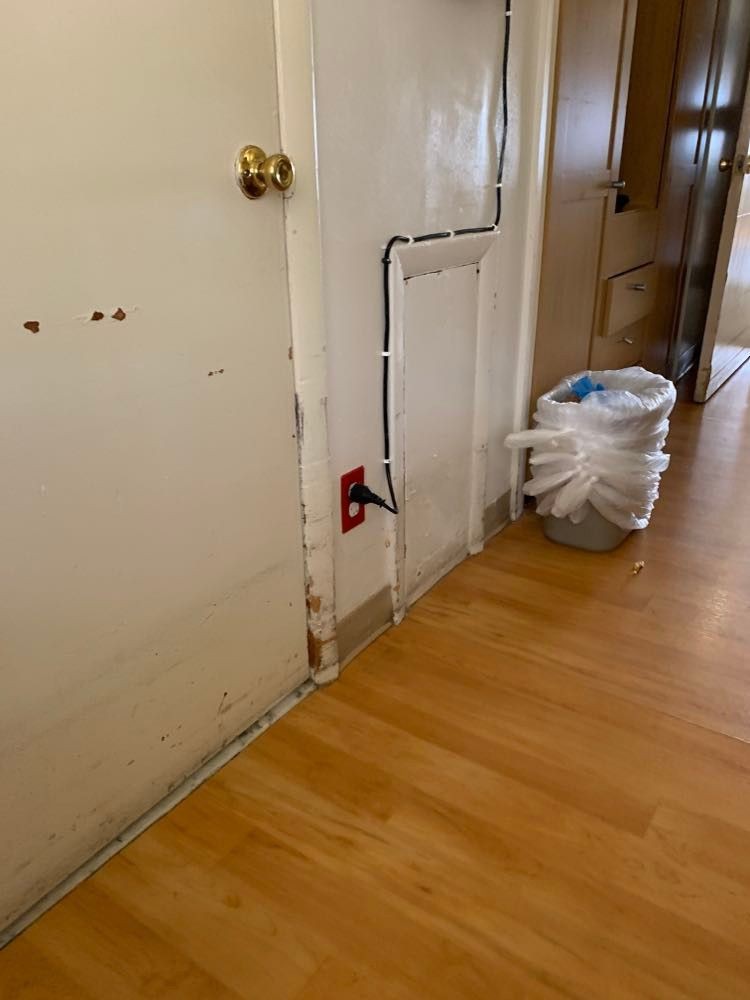 A hallway with a closed door, a trash can with a plastic bag liner, and visible wall outlets near the floor.