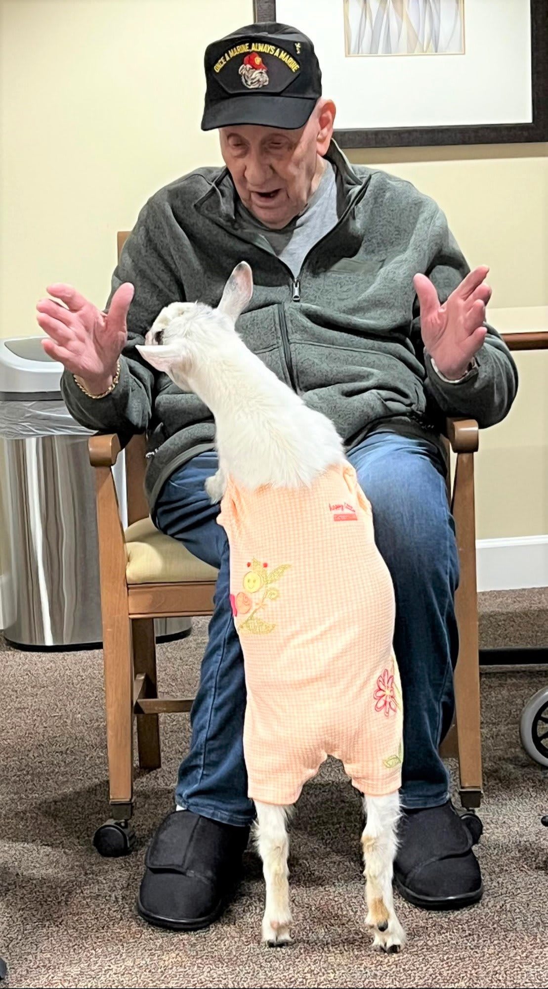 A small deer wearing clothing interacts with a seated person indoors.