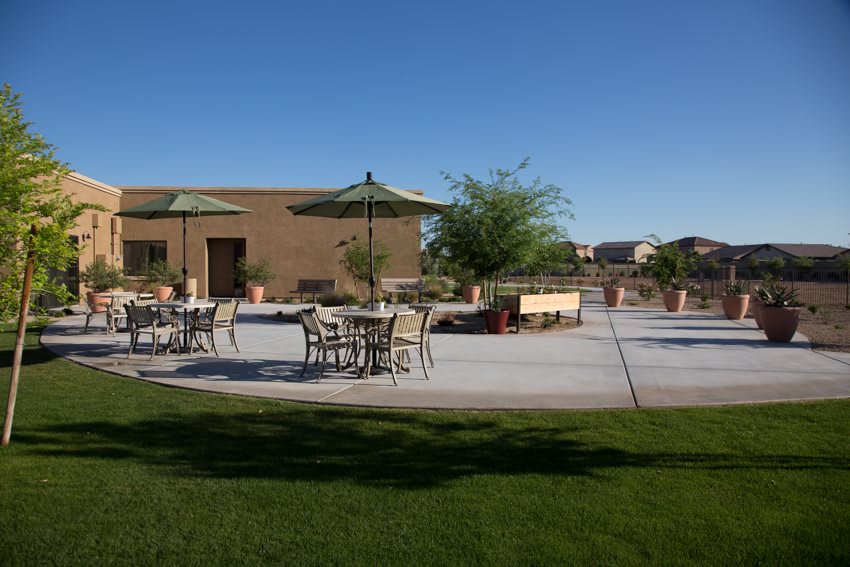 A sunny outdoor patio with tables, chairs, and umbrellas on a grassy area.