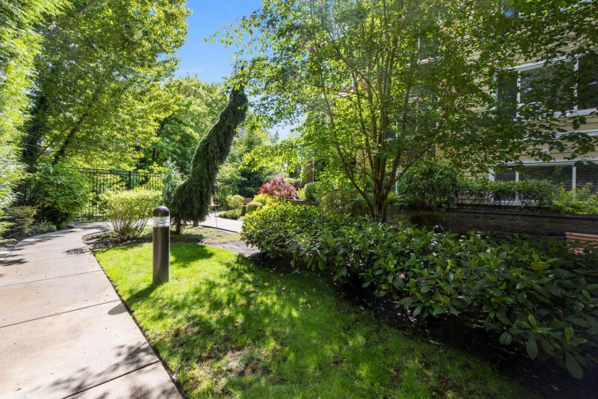 A sunny garden with a pathway surrounded by lush greenery and trees.