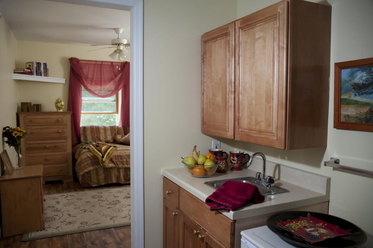 A view from the kitchen into a cozy living room, showcasing wooden cabinets and home decor.