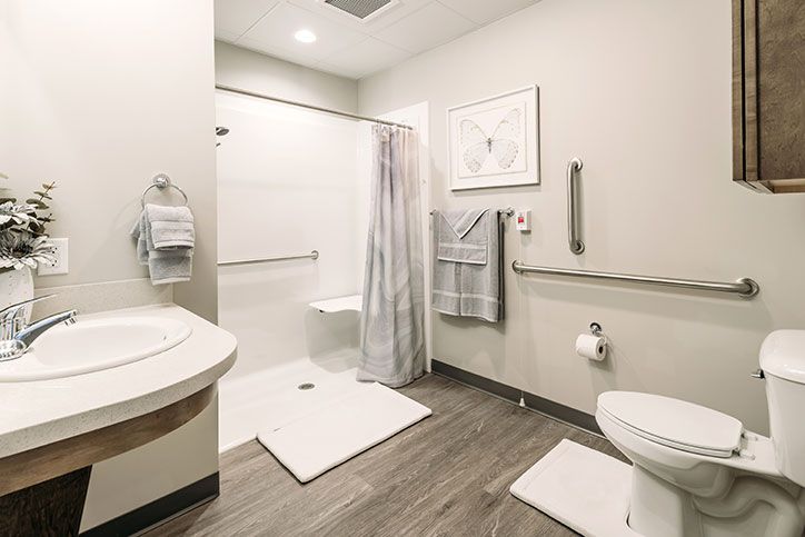 Modern accessible bathroom with grab bars and a walk-in shower.