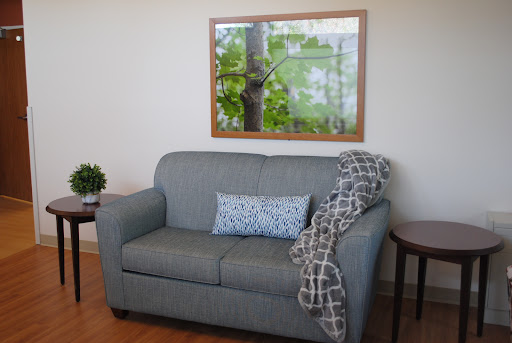 A cozy living room scene featuring a comfortable gray sofa adorned with a patterned blanket and decorative pillow, complemented by a nature-themed artwork.