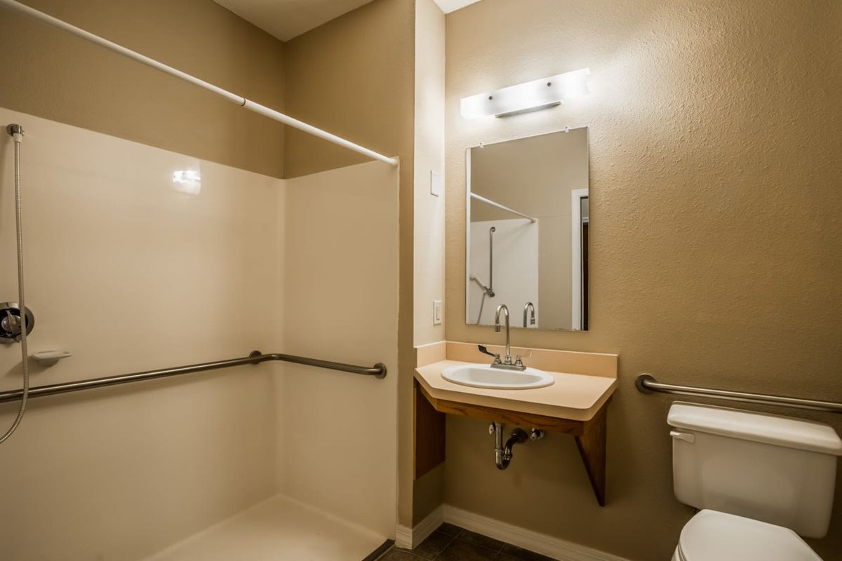 Accessible bathroom with a walk-in shower, sink, and handrails.