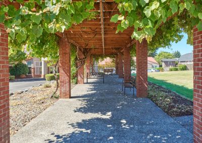 A shaded pergola walkway supported by brick columns, adorned with green vines.