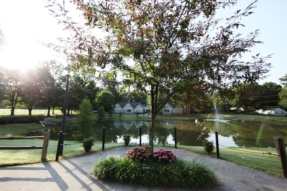 Foxbridge Assisted Living & Memory Care